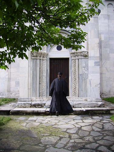 ����������� ���� 2010